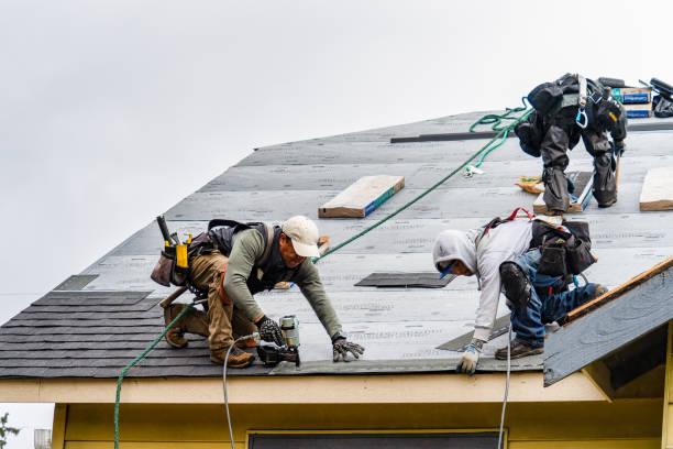 Professional Roofing technician working in Lind, WA